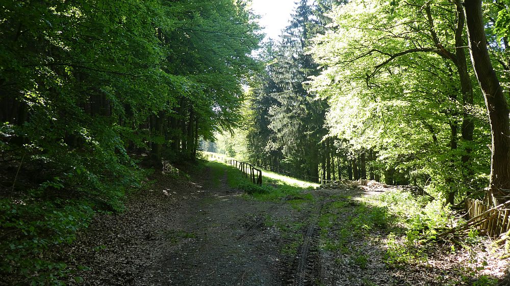 Medebacher Bergweg