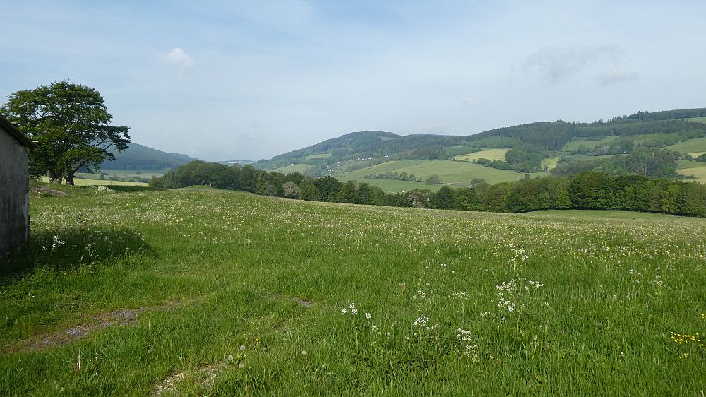 Medebacher Bergweg