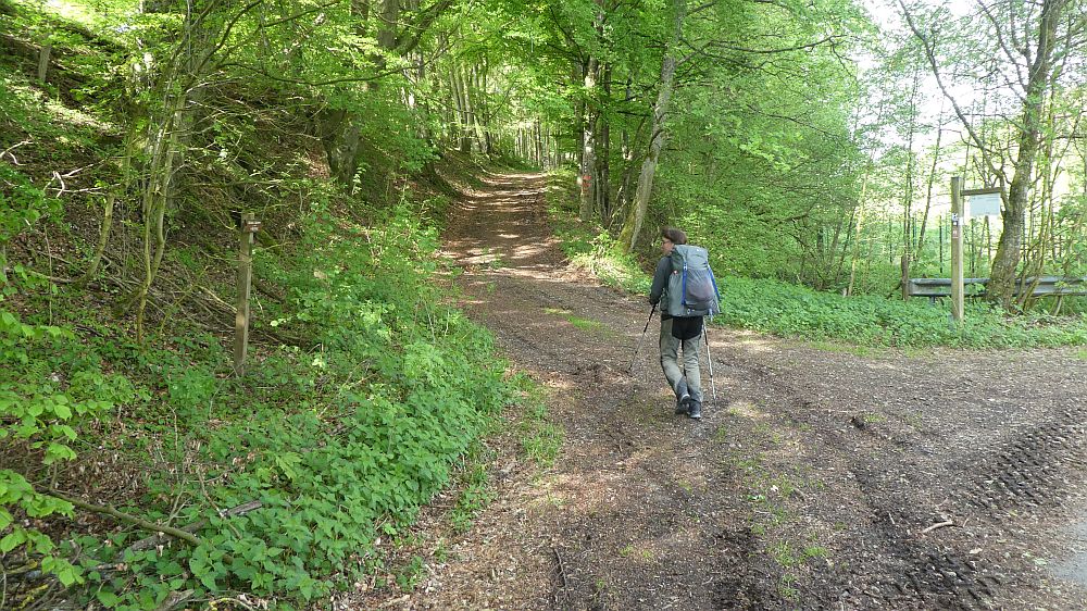 Medebacher Bergweg