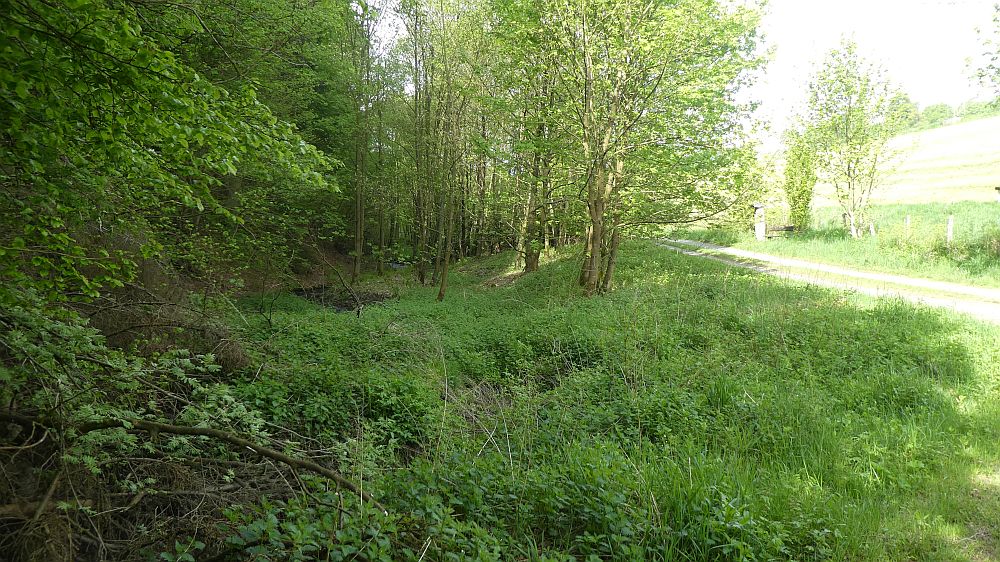 Medebacher Bergweg