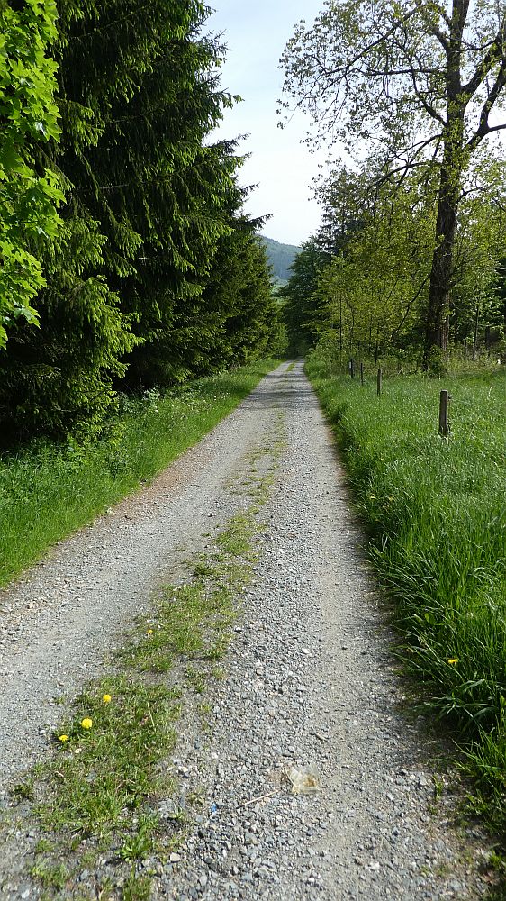 Medebacher Bergweg