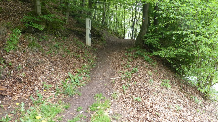 Medebacher Bergweg