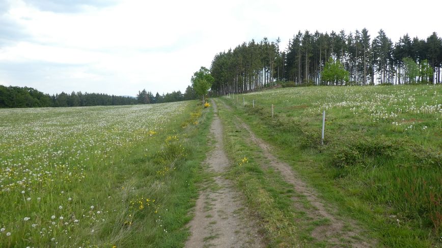 Medebacher Bergweg