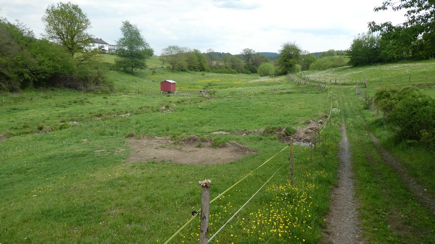 Medebacher Bergweg
