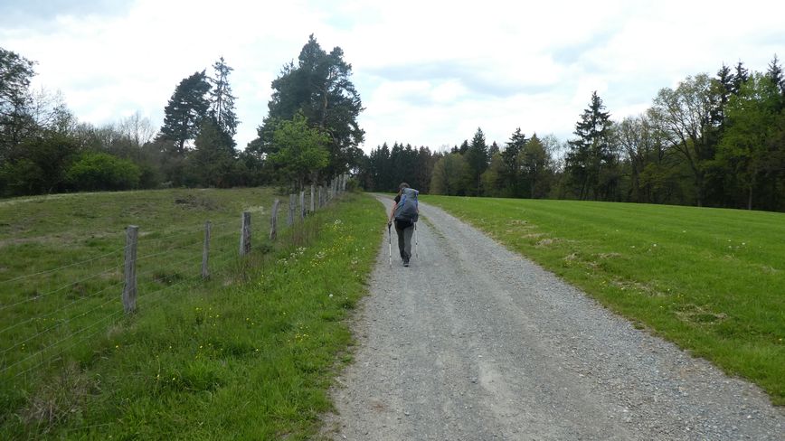 Medebacher Bergweg