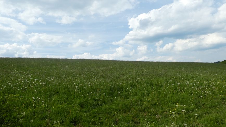 Medebacher Bergweg