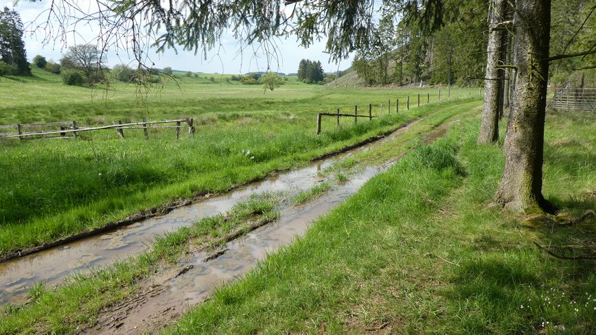 Medebacher Bergweg