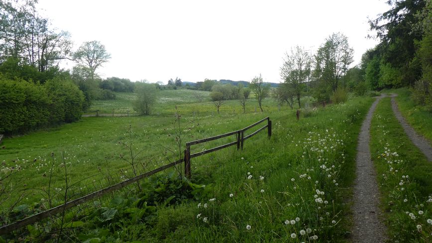 Medebacher Bergweg