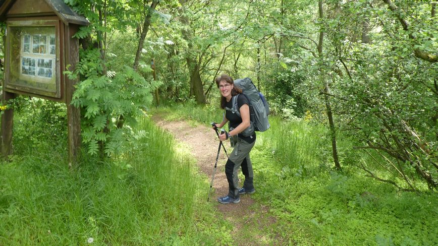 Medebacher Bergweg