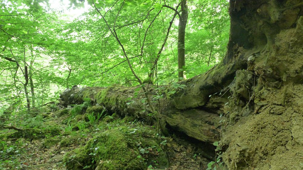 Luxemburgische Schweiz