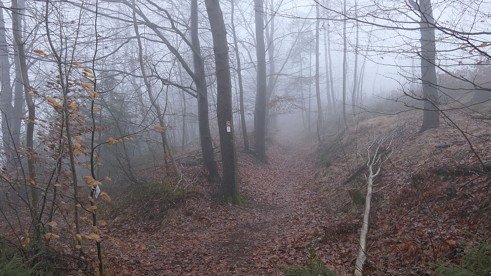 Naturschaetzesteig