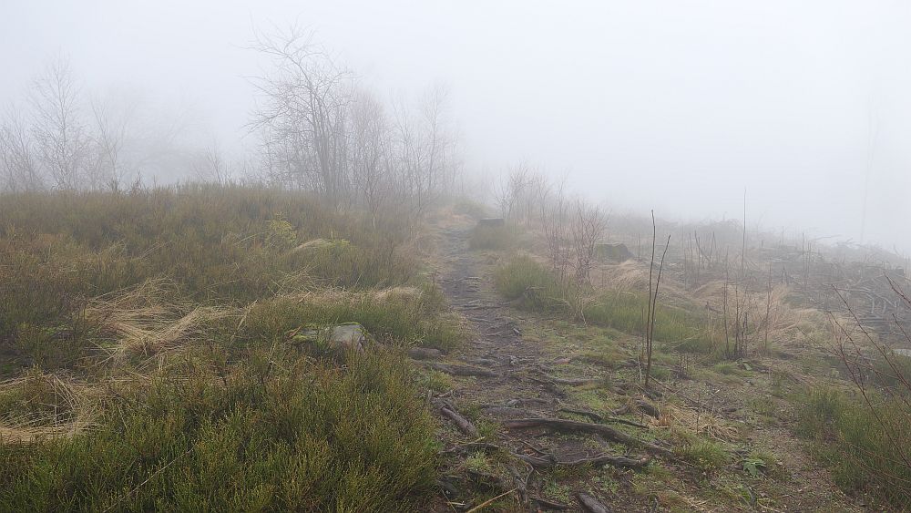 Naturschaetzesteig