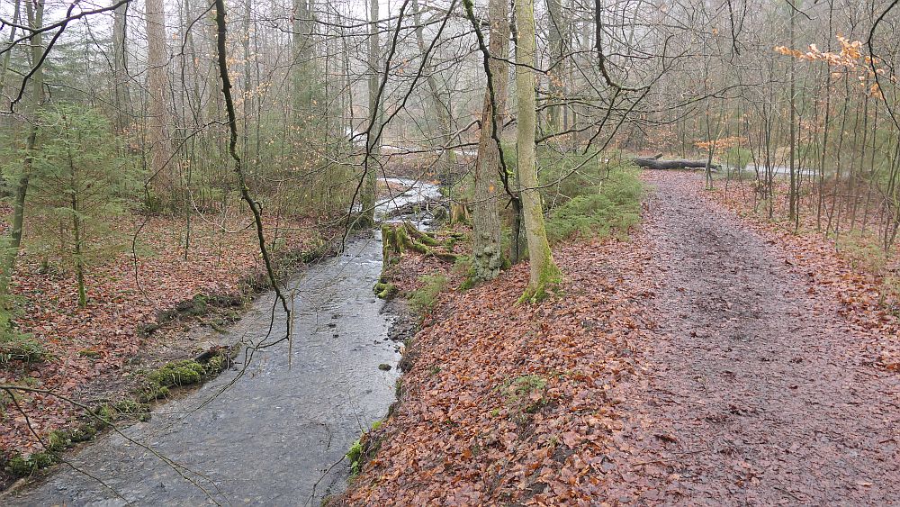 Naturschaetzesteig