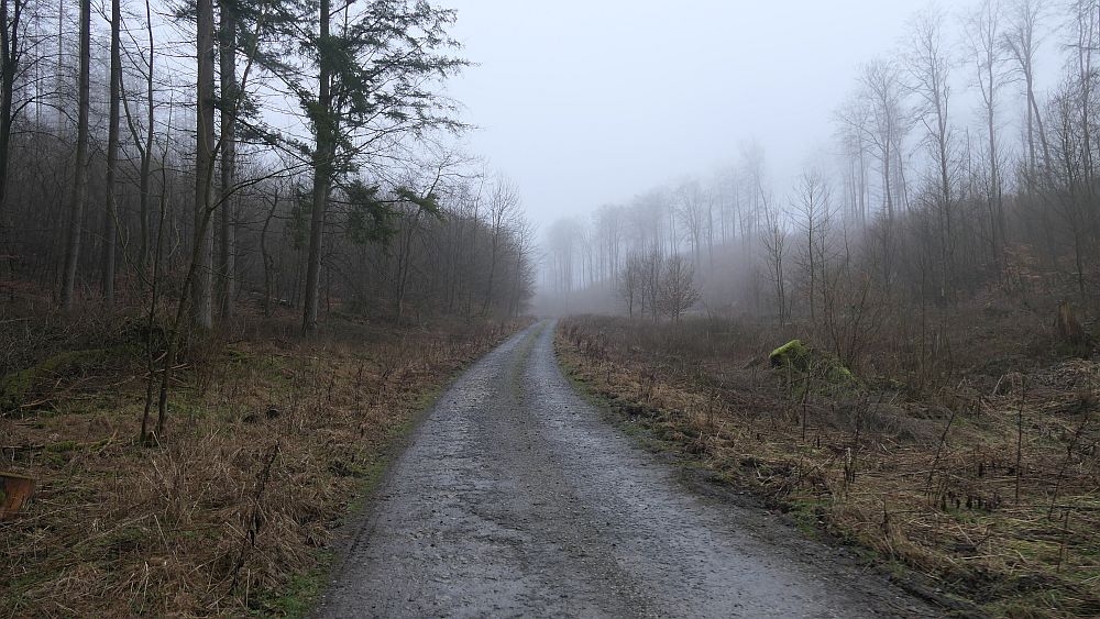Naturschaetzesteig