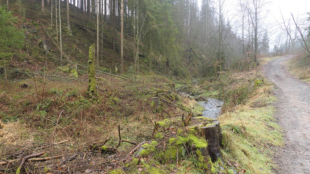 Naturschaetzesteig