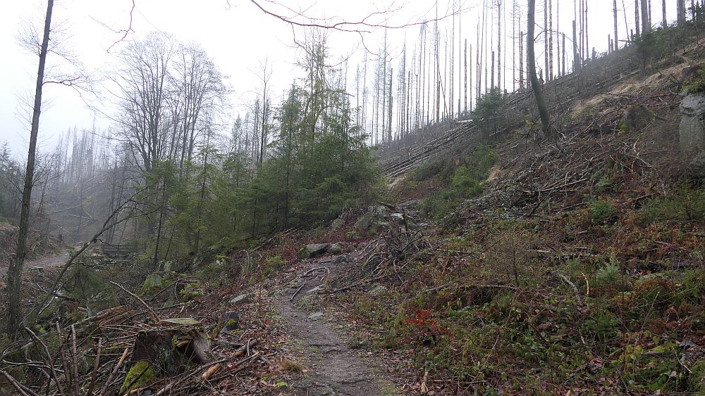 Naturschaetzesteig