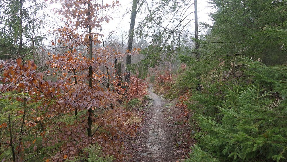 Naturschaetzesteig