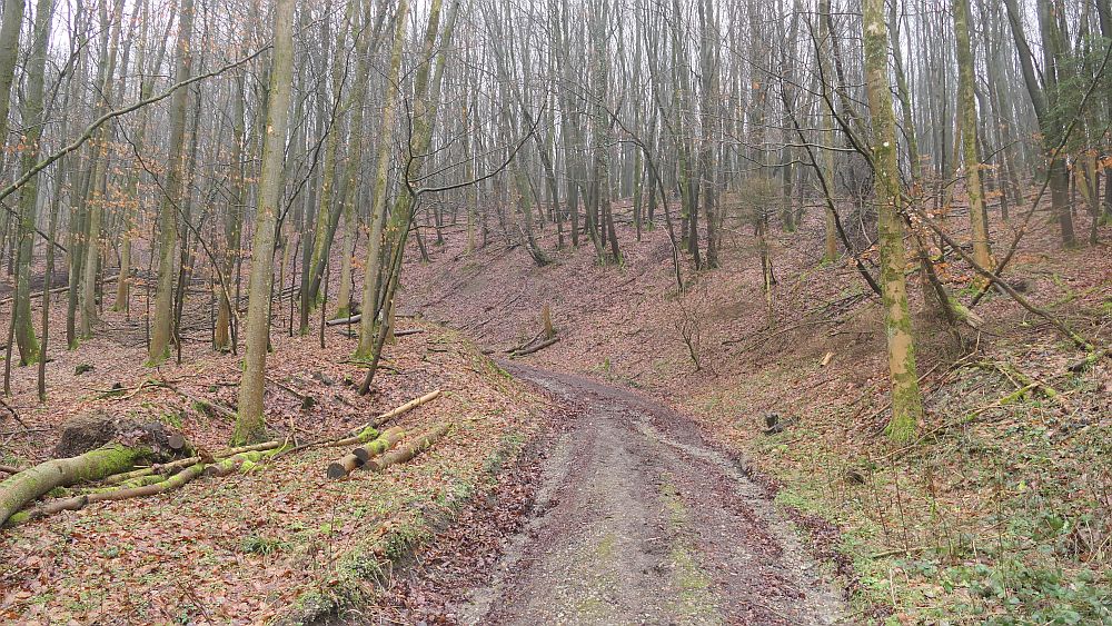 Naturschaetzesteig