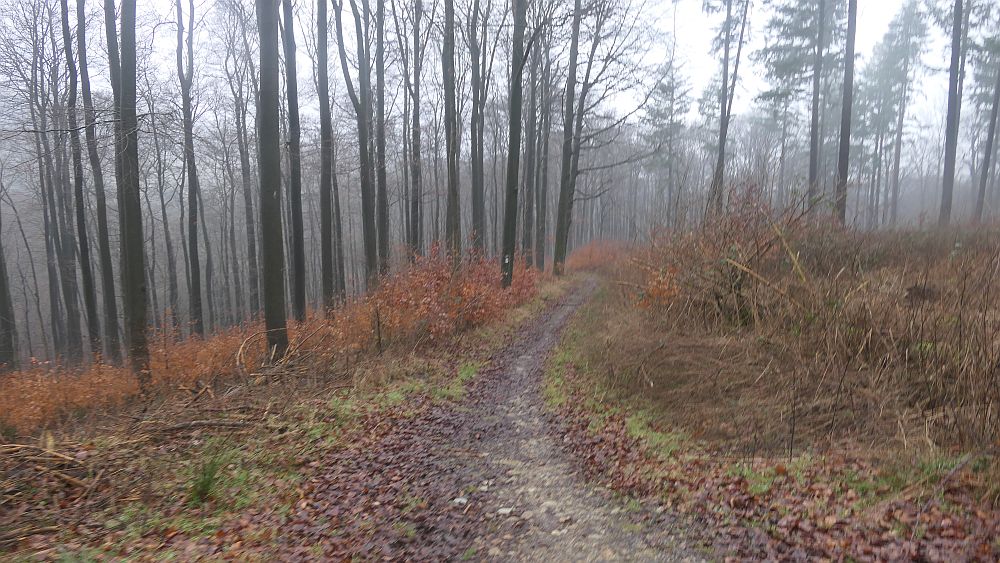Naturschaetzesteig
