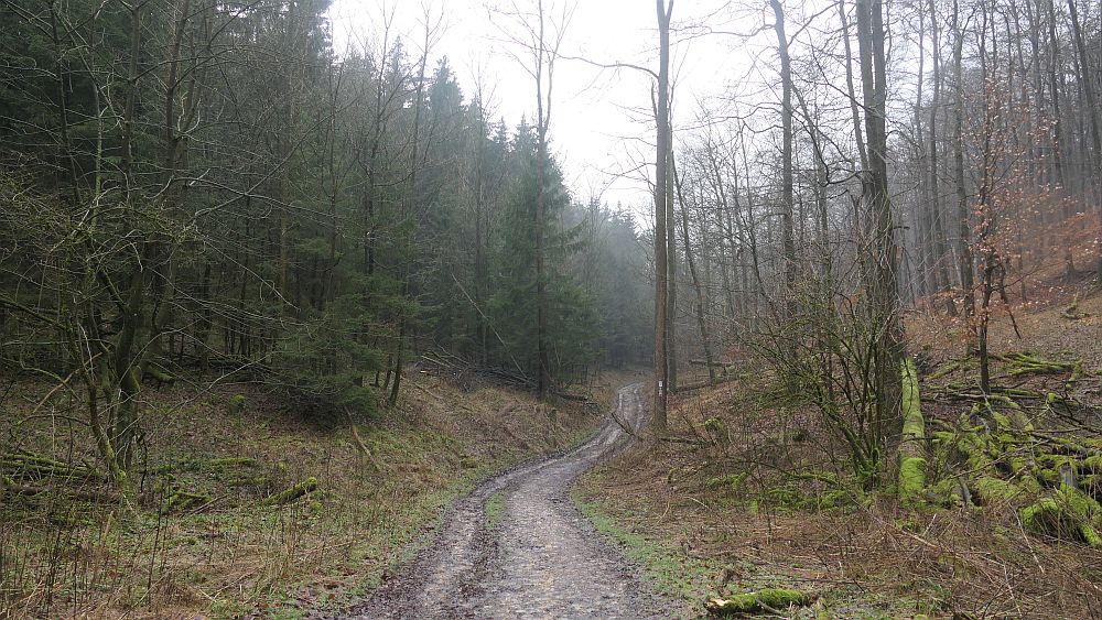 Naturschaetzesteig