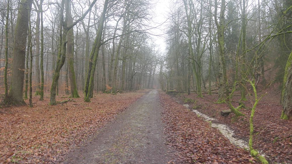 Naturschaetzesteig