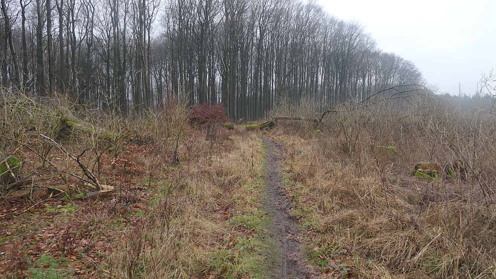 Naturschaetzesteig