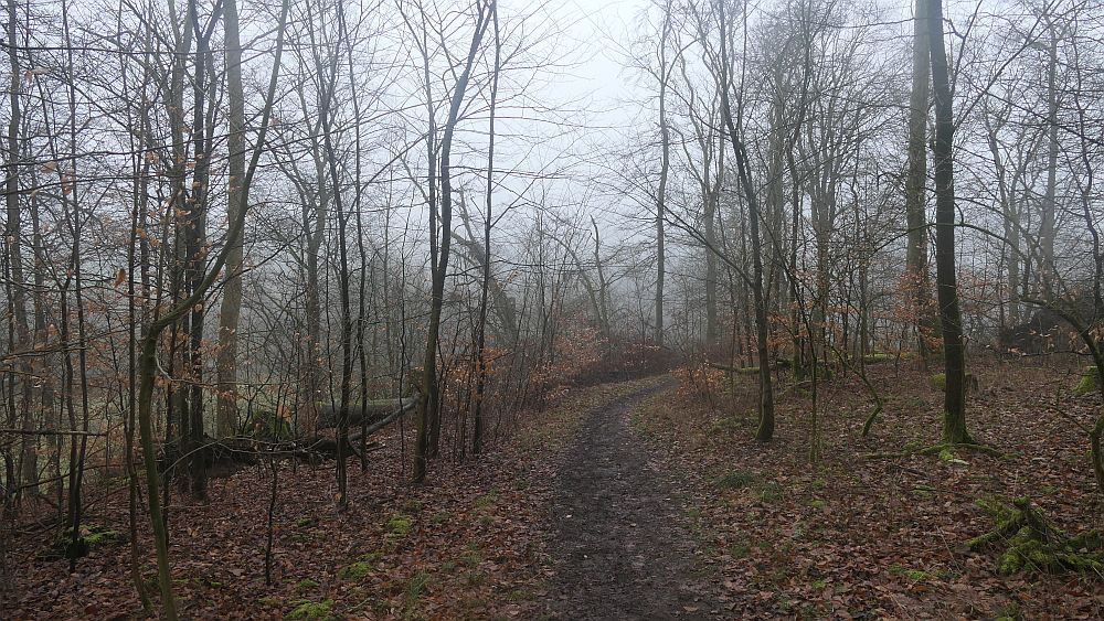Naturschaetzesteig