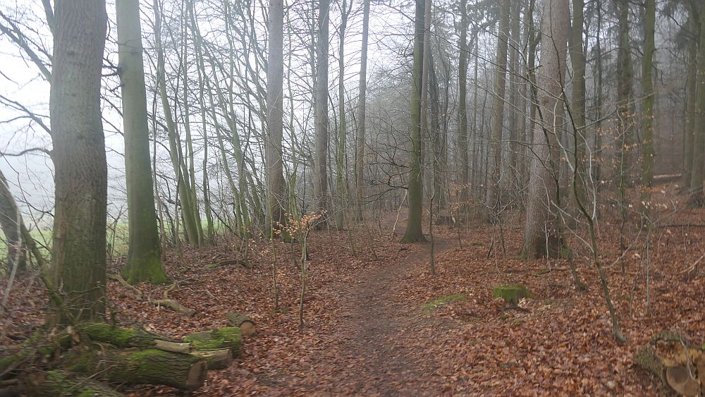 Naturschaetzesteig