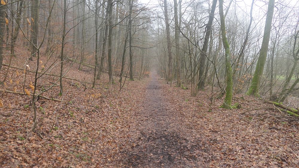 Naturschaetzesteig