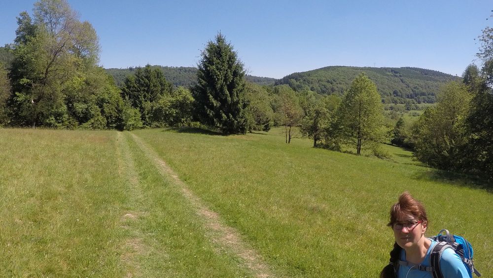 Neckarsteig