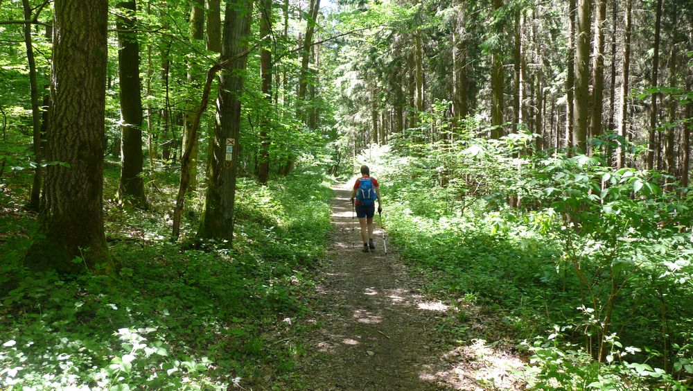 Neckarsteig
