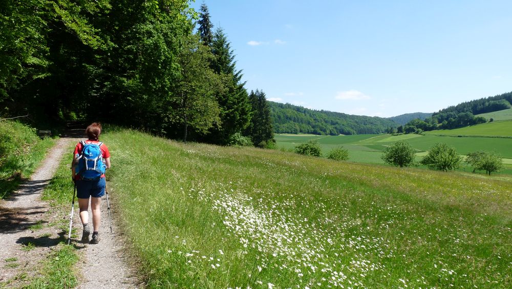 Neckarsteig