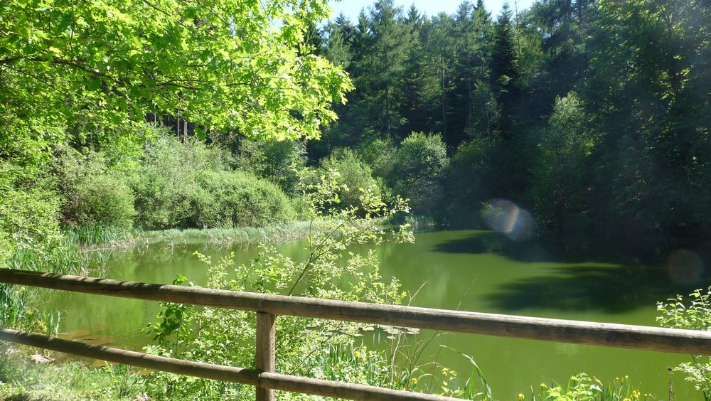 Neckarsteig