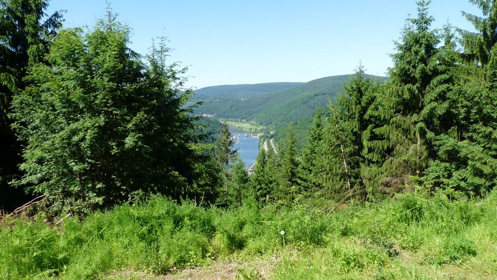 Neckarsteig