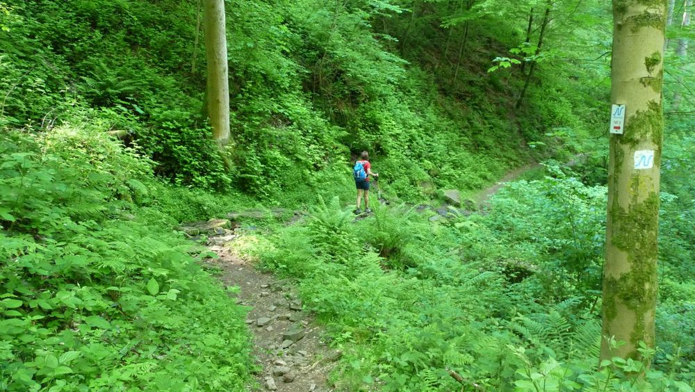 Neckarsteig