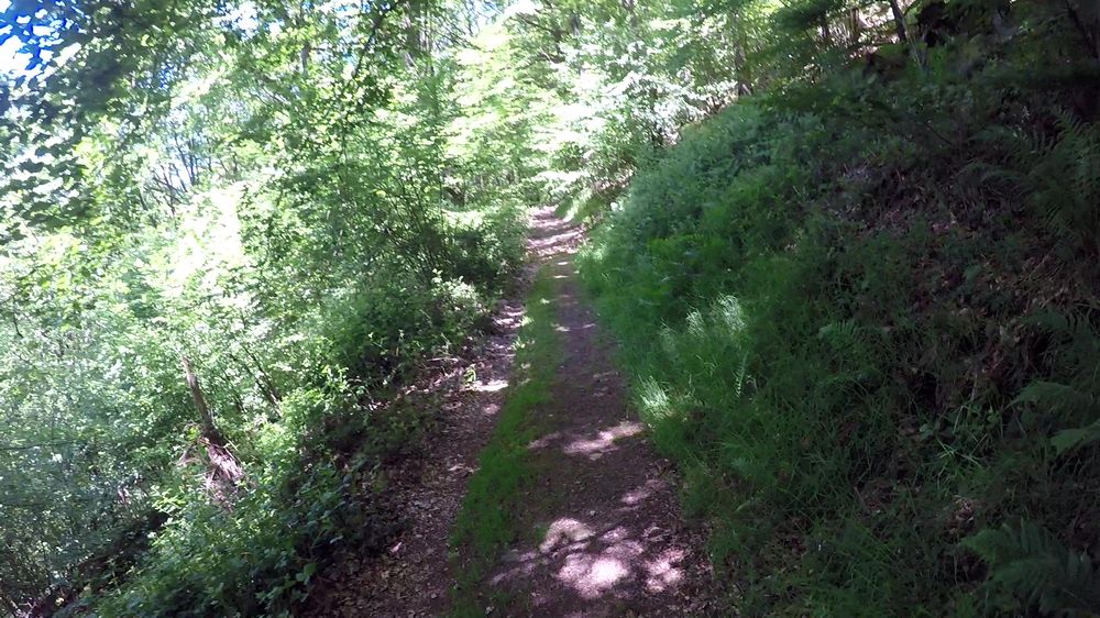 Neckarsteig