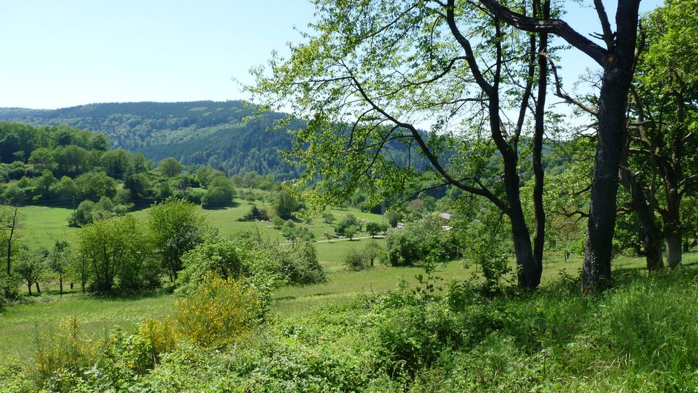 Neckarsteig