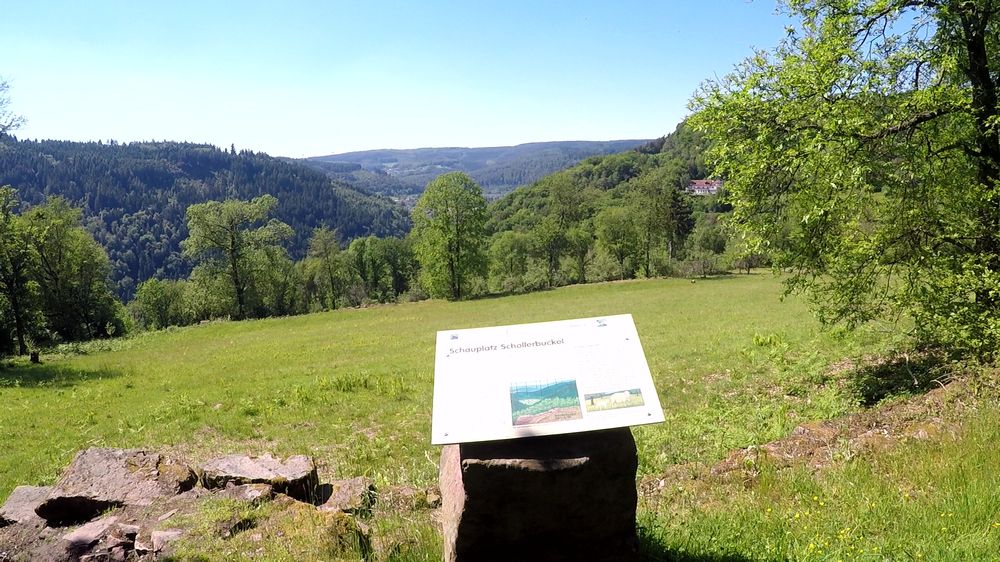 Neckarsteig