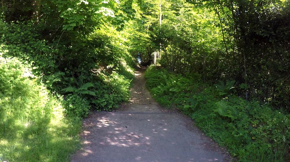 Neckarsteig