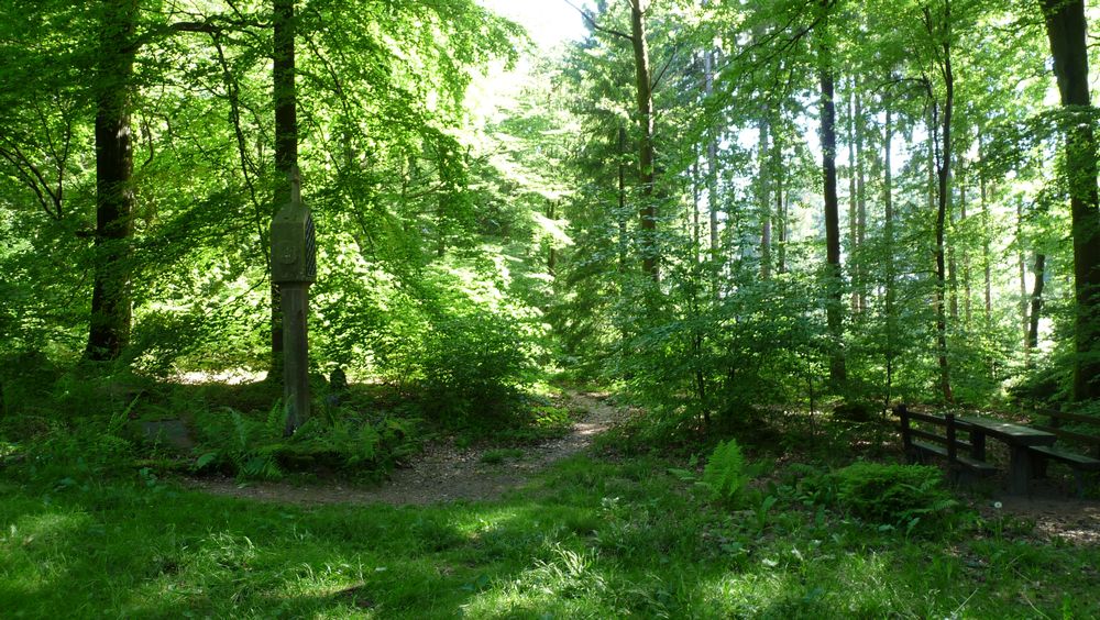 Neckarsteig