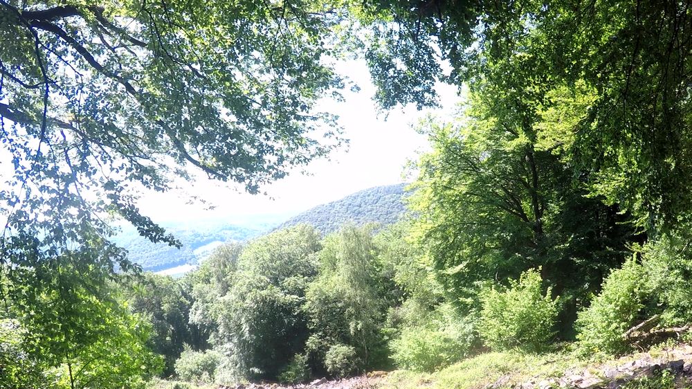 Neckarsteig
