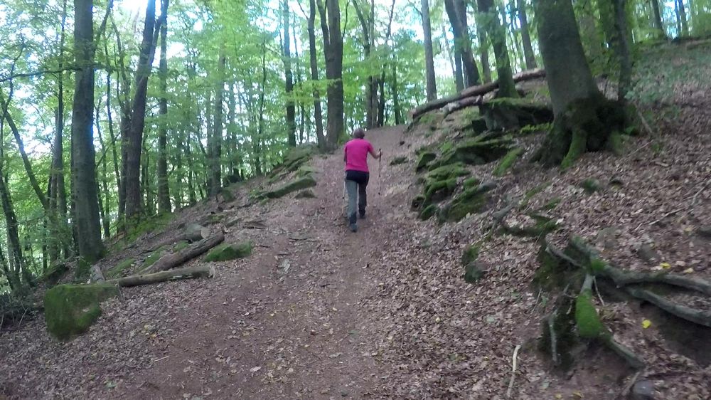 Neckarsteig