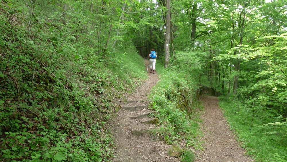 Neckarsteig