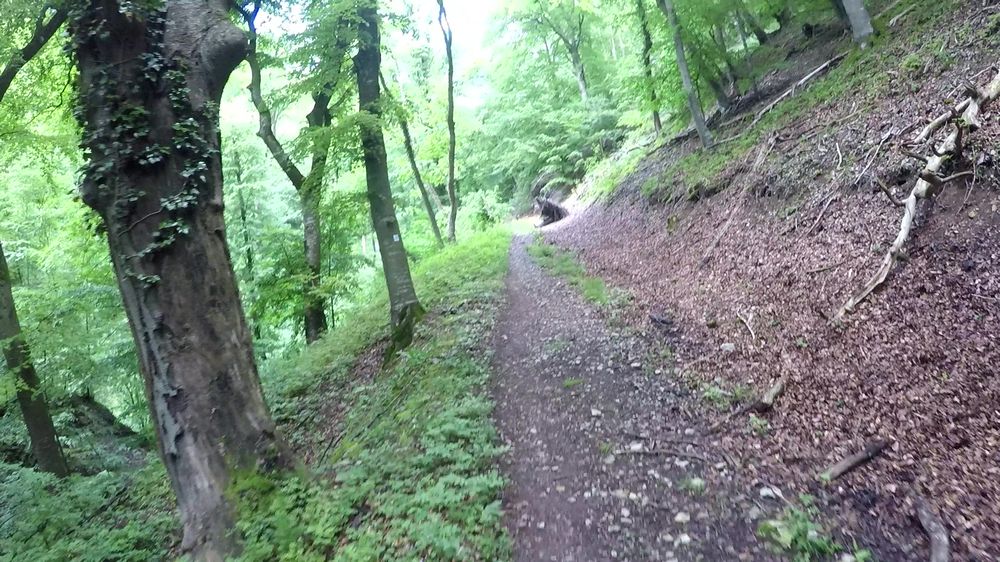 Neckarsteig