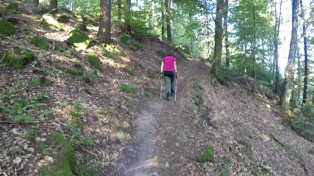 Neckarsteig