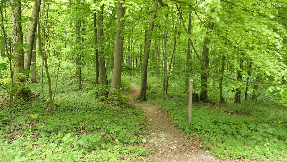 Paderborner Höhenweg