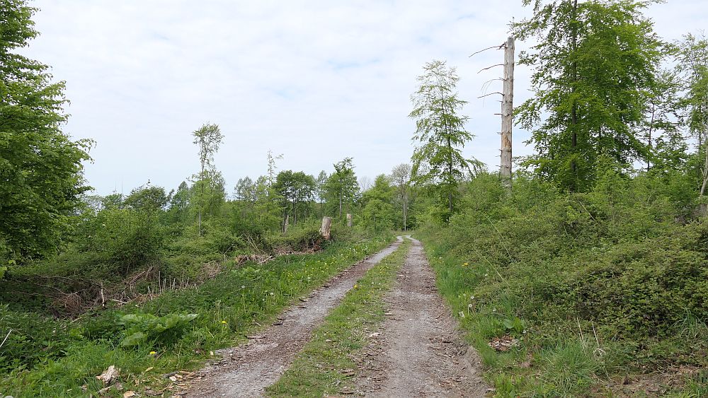 Paderborner Höhenweg
