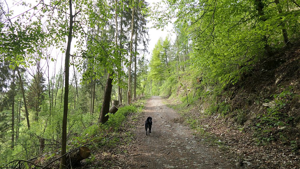 Paderborner Höhenweg