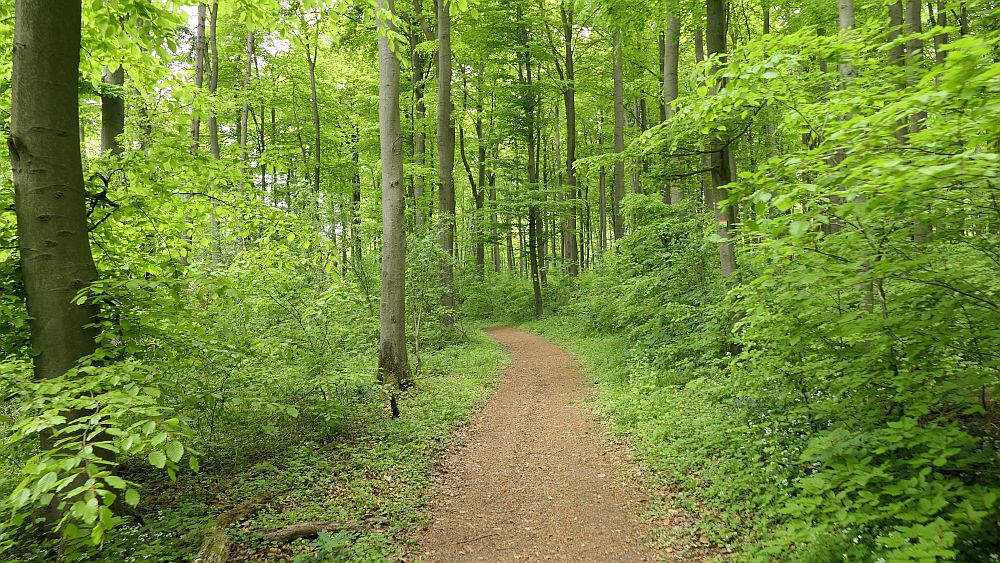 Paderborner Höhenweg