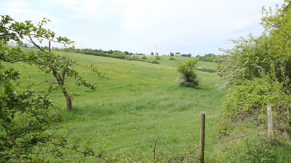 Paderborner Höhenweg